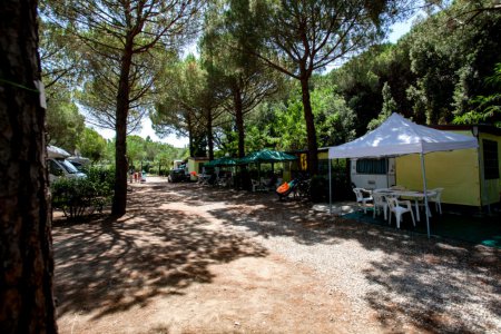Camping Pitches
