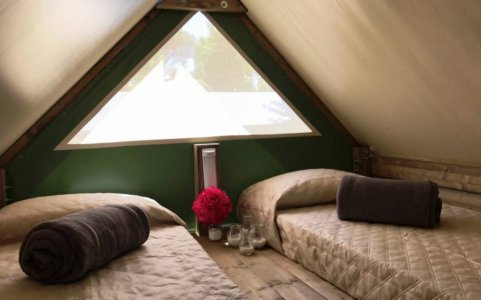 Glamping
