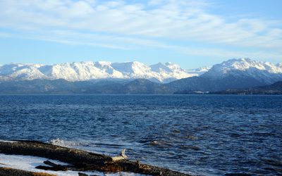 Bahía de Kachemak